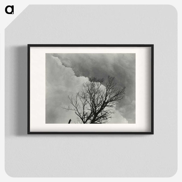 1-57_Alfred-Stieglitz_blk