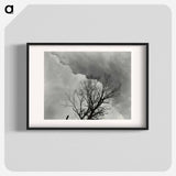 Tree Set 3 - アルフレッド スティーグリッツ Poster.