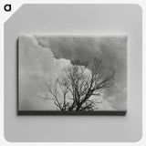 1-57_Alfred-Stieglitz_canvas
