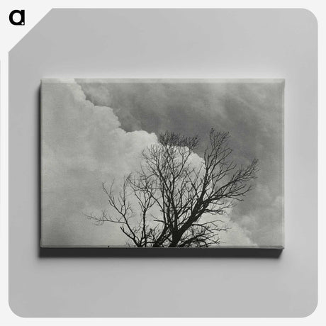 1-57_Alfred-Stieglitz_canvas