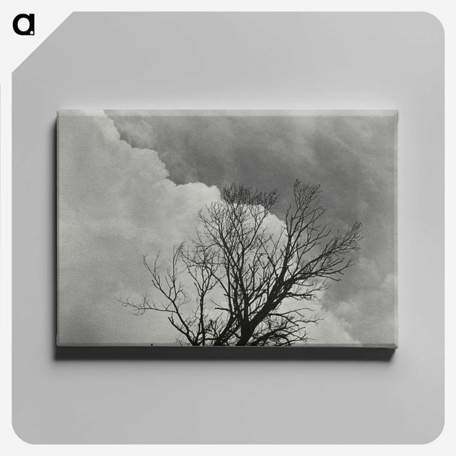 1-57_Alfred-Stieglitz_canvas