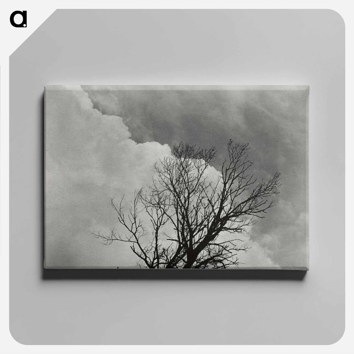 Tree Set 3 - アルフレッド スティーグリッツ Canvas.
