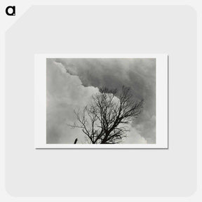 アートポストカード-Tree Set 3 - アルフレッド スティーグリッツ Postcard.