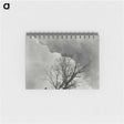 1-57_Alfred-Stieglitz_memo