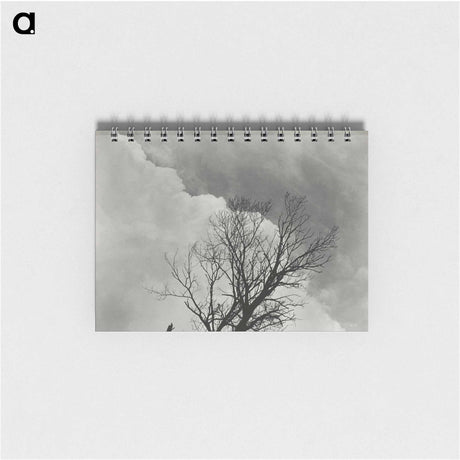 1-57_Alfred-Stieglitz_memo