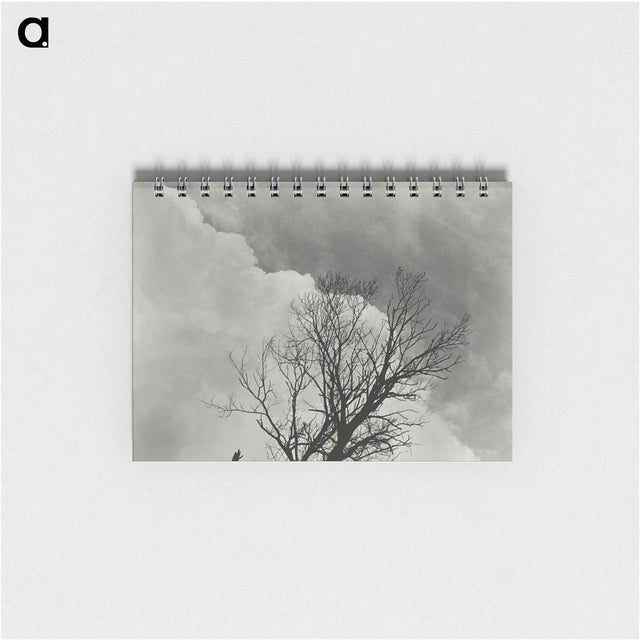 1-57_Alfred-Stieglitz_memo