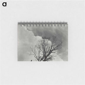アートメモ帳-Tree Set 3 - アルフレッド スティーグリッツ Memo.
