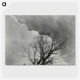 1-57_Alfred-Stieglitz_picture-crop