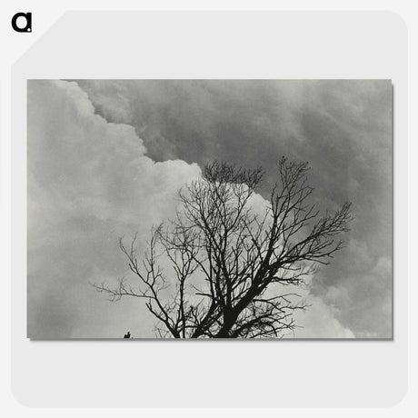 1-57_Alfred-Stieglitz_picture-crop
