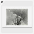 1-57_Alfred-Stieglitz_picture