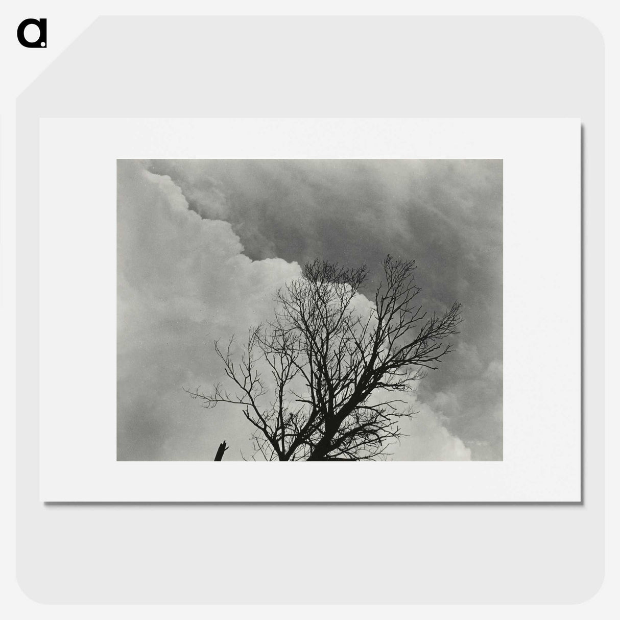 1-57_Alfred-Stieglitz_picture