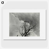 1-57_Alfred-Stieglitz_picture