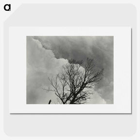 1-57_Alfred-Stieglitz_picture