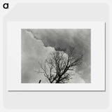 Tree Set 3 - アルフレッド スティーグリッツ Poster.