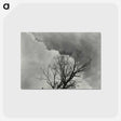 1-57_Alfred-Stieglitz_postcard