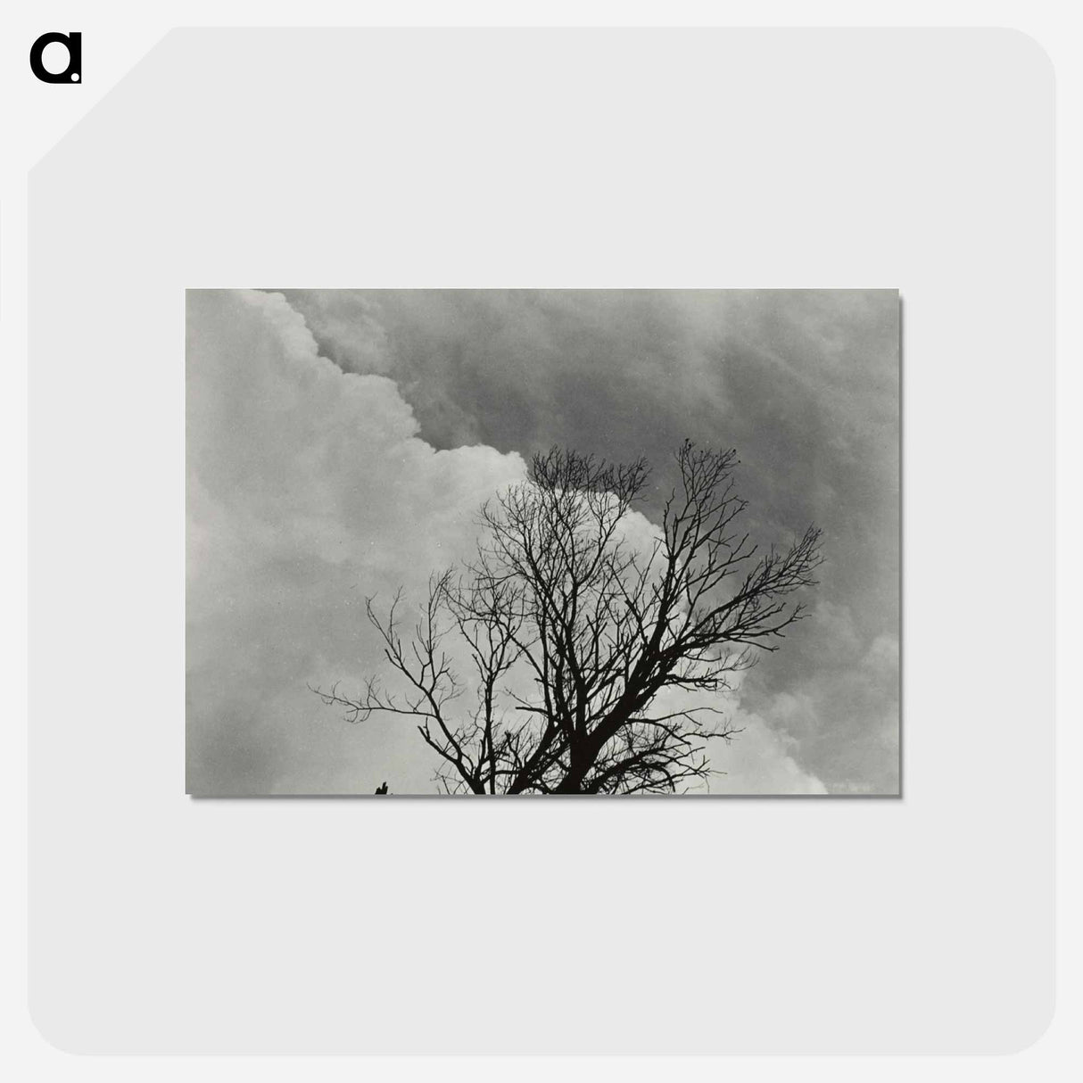 アートポストカード-Tree Set 3 - アルフレッド スティーグリッツ Postcard.