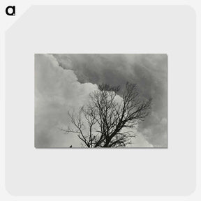 1-57_Alfred-Stieglitz_postcard
