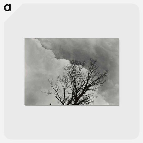 アートポストカード-Tree Set 3 - アルフレッド スティーグリッツ Postcard.