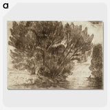1-57_Alfred-William-Finch_picture-crop
