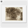1-57_Alfred-William-Finch_picture