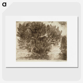 1-57_Alfred-William-Finch_picture