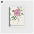 1-57_Anselmus-Boetius-de-Boodt_memo
