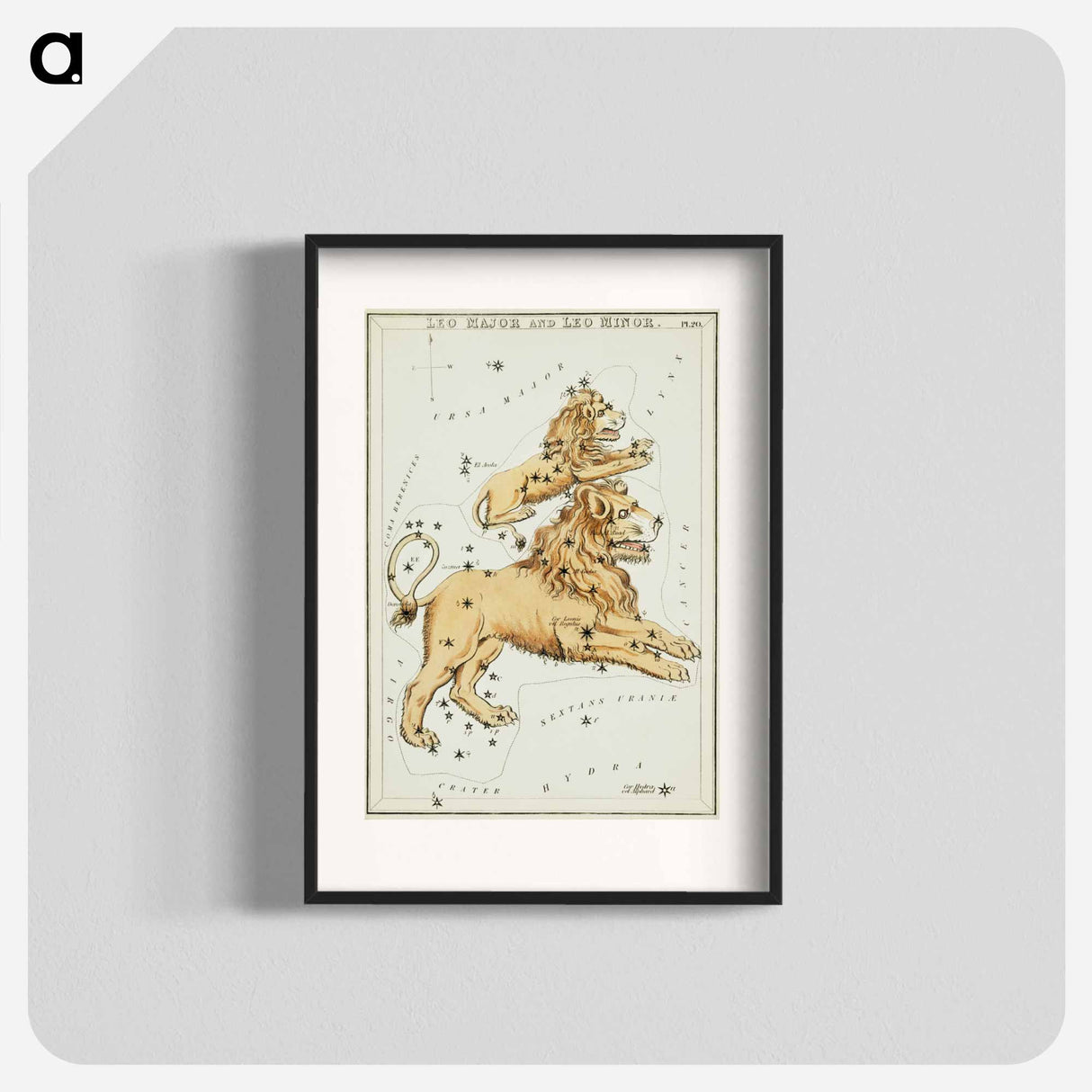 Sidney Hall’s astronomical chart illustration of the Leo Major and the Leo Minor - アンティーク地図 Poster.