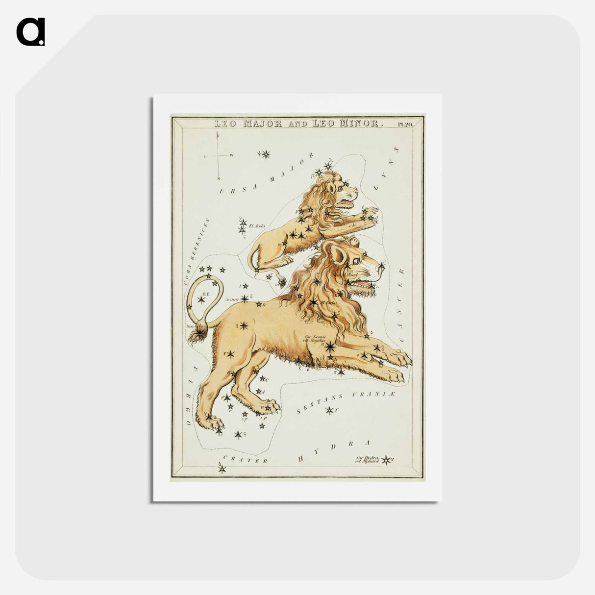 アートポストカード-Sidney Hall’s astronomical chart illustration of the Leo Major and the Leo Minor - アンティーク地図 Postcard.