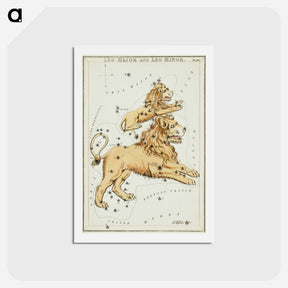 アートポストカード-Sidney Hall’s astronomical chart illustration of the Leo Major and the Leo Minor - アンティーク地図 Postcard.