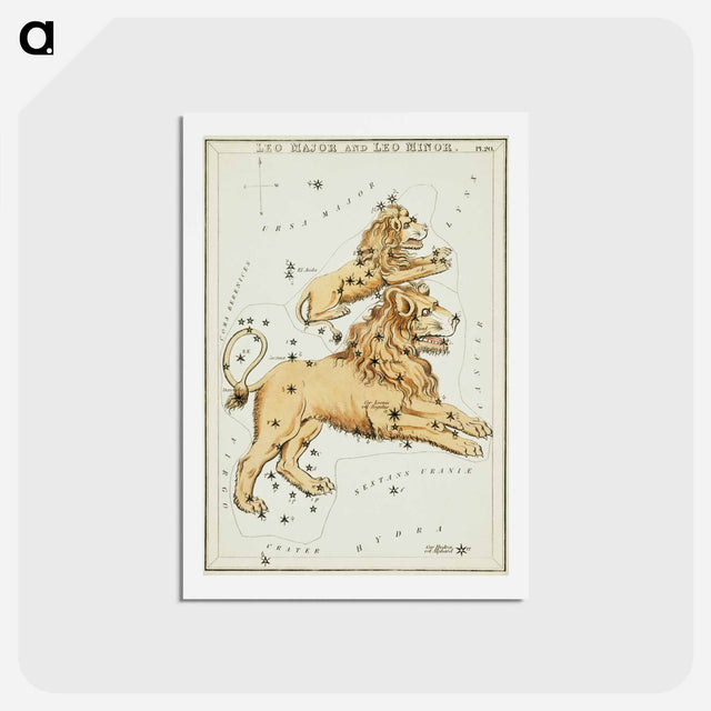 アートポストカード-Sidney Hall’s astronomical chart illustration of the Leo Major and the Leo Minor - アンティーク地図 Postcard.