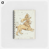 Sidney Hall’s astronomical chart illustration of the Leo Major and the Leo Minor - アンティーク地図 Memo.