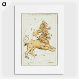 Sidney Hall’s astronomical chart illustration of the Leo Major and the Leo Minor - アンティーク地図 Poster.