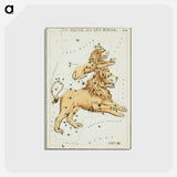 アートポストカード-Sidney Hall’s astronomical chart illustration of the Leo Major and the Leo Minor - アンティーク地図 Postcard.