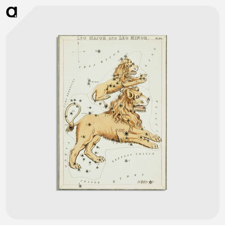 アートポストカード-Sidney Hall’s astronomical chart illustration of the Leo Major and the Leo Minor - アンティーク地図 Postcard.