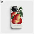 1-57_Botanical-Specimen-Plates_phone