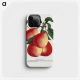 1-57_Botanical-Specimen-Plates_phone