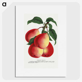 1-57_Botanical-Specimen-Plates_picture