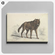 1-57_Charles-Hamilton-Smith_canvas