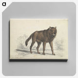 1-57_Charles-Hamilton-Smith_canvas