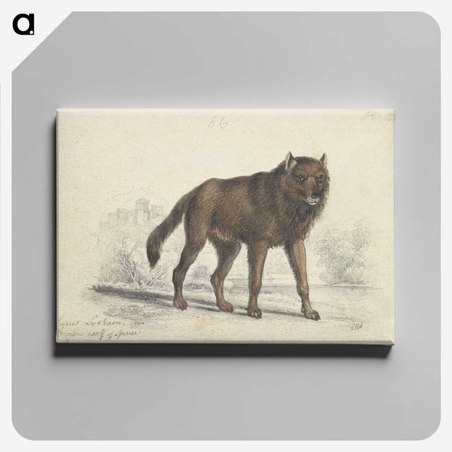 1-57_Charles-Hamilton-Smith_canvas