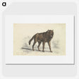 1-57_Charles-Hamilton-Smith_picture