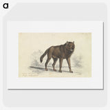 1-57_Charles-Hamilton-Smith_picture