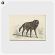 1-57_Charles-Hamilton-Smith_postcard