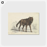 1-57_Charles-Hamilton-Smith_postcard
