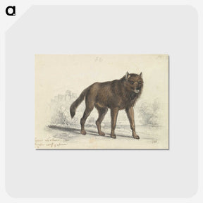 1-57_Charles-Hamilton-Smith_postcard