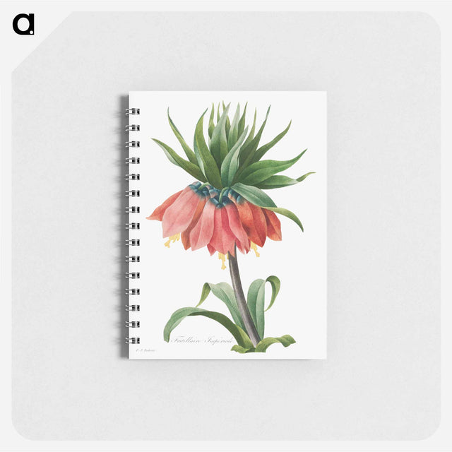 アートメモ帳-Crown Imperial Fritillary
 - クリーブランド美術館 Memo.
