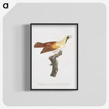 1-57_Des-Oiseaux-de-Paradis_blk-crop