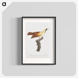 1-57_Des-Oiseaux-de-Paradis_blk