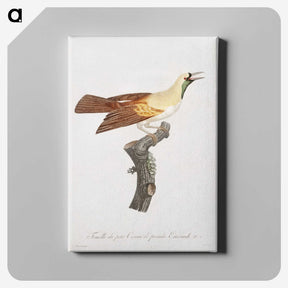 1-57_Des-Oiseaux-de-Paradis_canvas