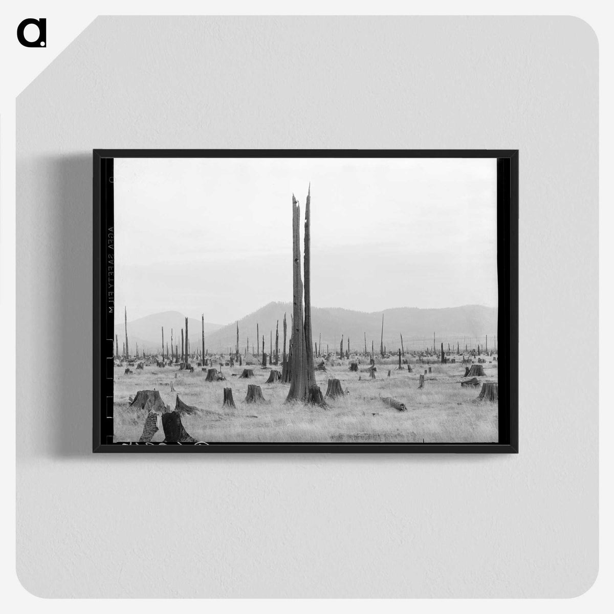 1-57_Dorothea-Lange_blk-crop